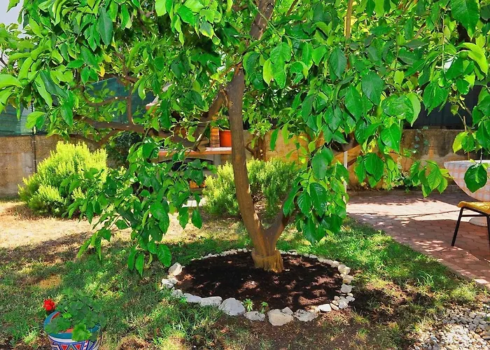 Botanic Apartament *