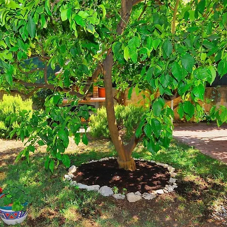 Botanic Appartamento *