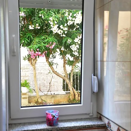 Appartement Botanic *